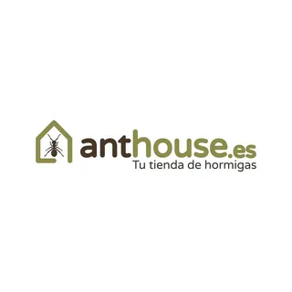  Ofertas Anthouse