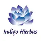  Ofertas Indigo Hierbas